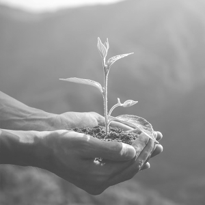 diagnosticos sostenibilidad